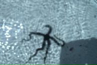 Дмитрий Минаков фотография #17 (источник - https://vk.com/id2820287)