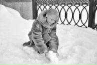 Фотография  