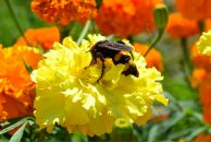 Рина Рябокінь фотография #48 (источник - https://vk.com/id27801681)