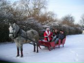 Іванка Гонак фотография #9 (источник - https://vk.com/id4079547)