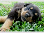 Андрій Ткач фотография #47 (источник - https://vk.com/id133966263)