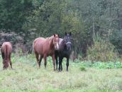 Фотография Клубовой Надежды