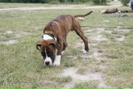 Кирилл Митяев фотография #19 (источник - https://vk.com/id6828811)