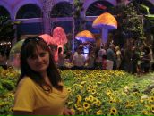 Наталія Маркова фотография #24 (источник - https://vk.com/id63258267)