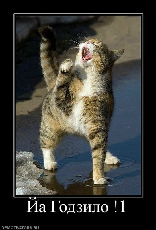 Ильдар Кинзин фотография #22