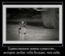 Фотография Романенковой Ольги