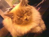 Фотография Ивановой Оксаны