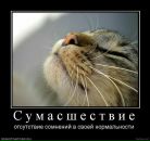 Сергій Добош фотография #30 (источник - https://vk.com/id7118660)