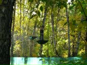 Фотография Мезенцевой Жени