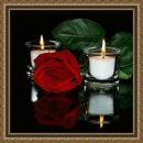 Фотография Aleksandrovna Natalia