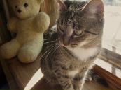 Фотография Тумашик Ирины