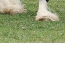 Каріно4ка♥ Шрамко фотография #40 (источник - https://vk.com/id147791993)