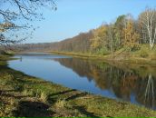 Серёжа Райский фотография #24 (источник - https://vk.com/id897554)