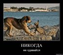 Фотография Окунева Павла
