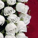 Іра Сакундяк фотография #32 (источник - https://vk.com/id35307343)