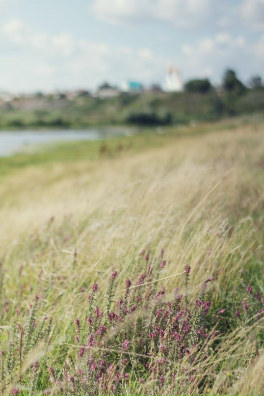 Ольга Моха фотография #24