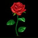 Фотография Патрушевой Ольги