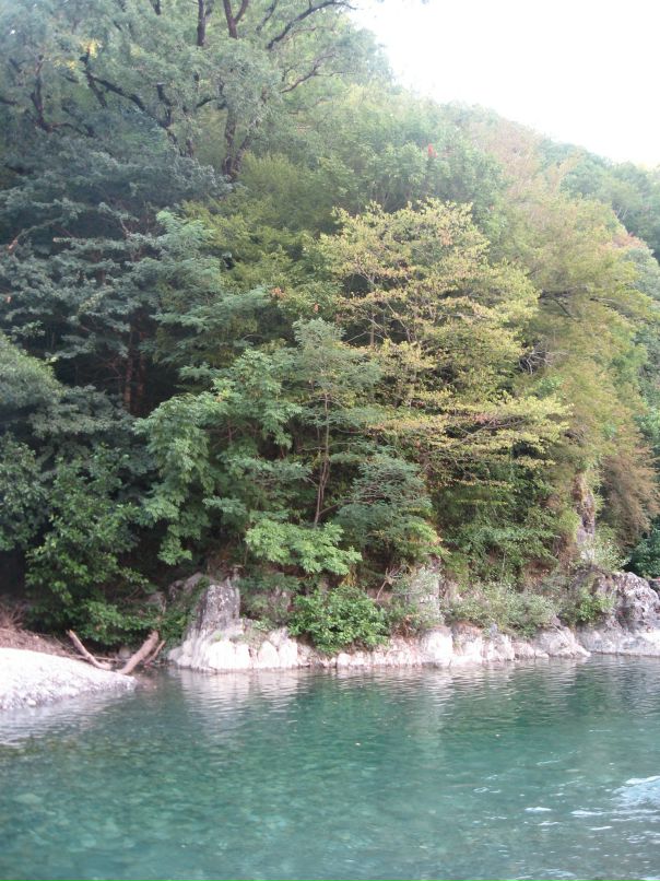 Дмитрий Головачёв фотография #19