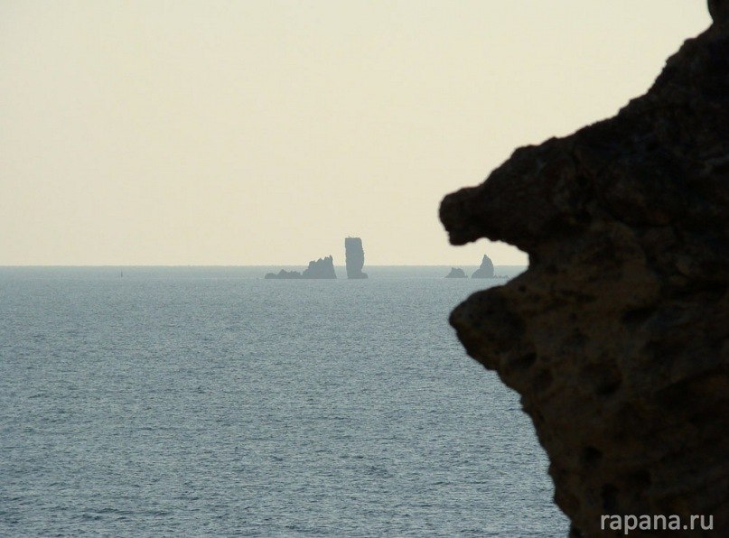 Макс Авдеев фотография #30