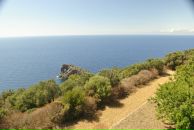 Саша Sspector фотография #41 (источник - https://vk.com/id196559)