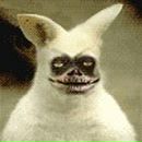 Фотография Щучкина Александра