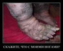 Группа Cherry:) фотография #5 (источник - https://vk.com/id145477506)