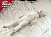 Фотография Александровны Альбины