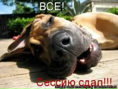 Фотография Ясковича Алексея