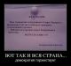  фотография #13