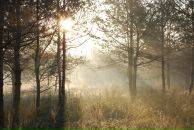 Михаил Яковлев фотография #18 (источник - https://vk.com/id2403530)