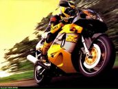 Фотография Береснева Александра