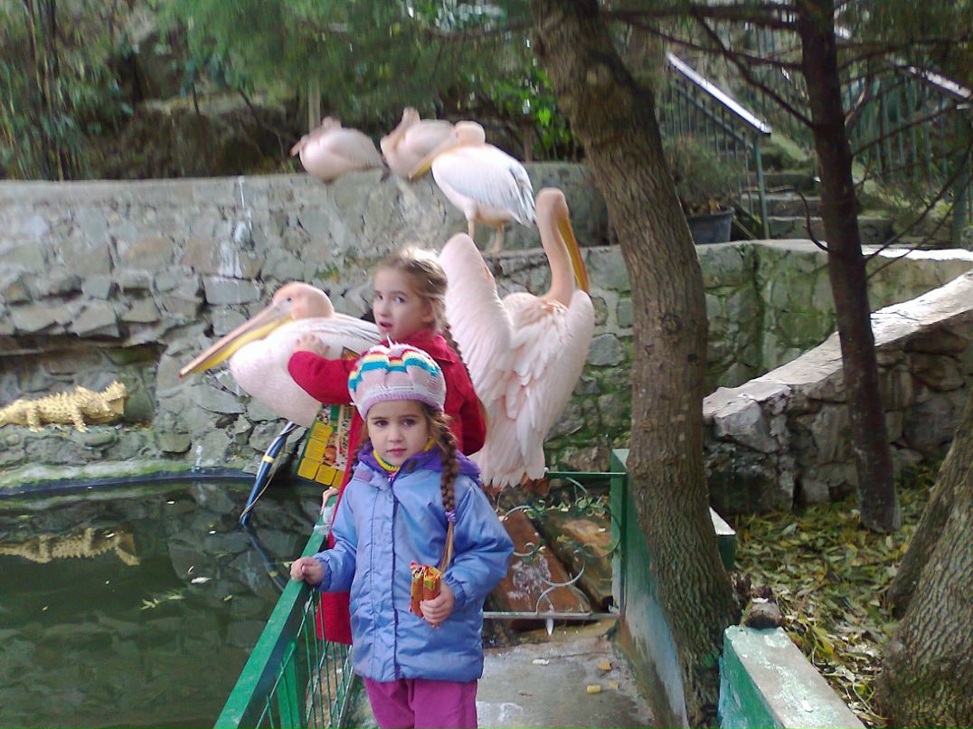 Ольга Путрова фотография #28