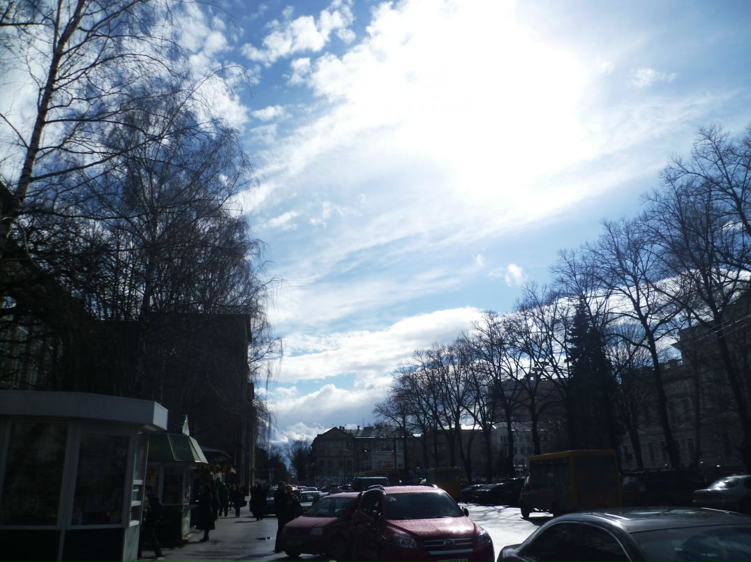 Dragon Fly фотография #50