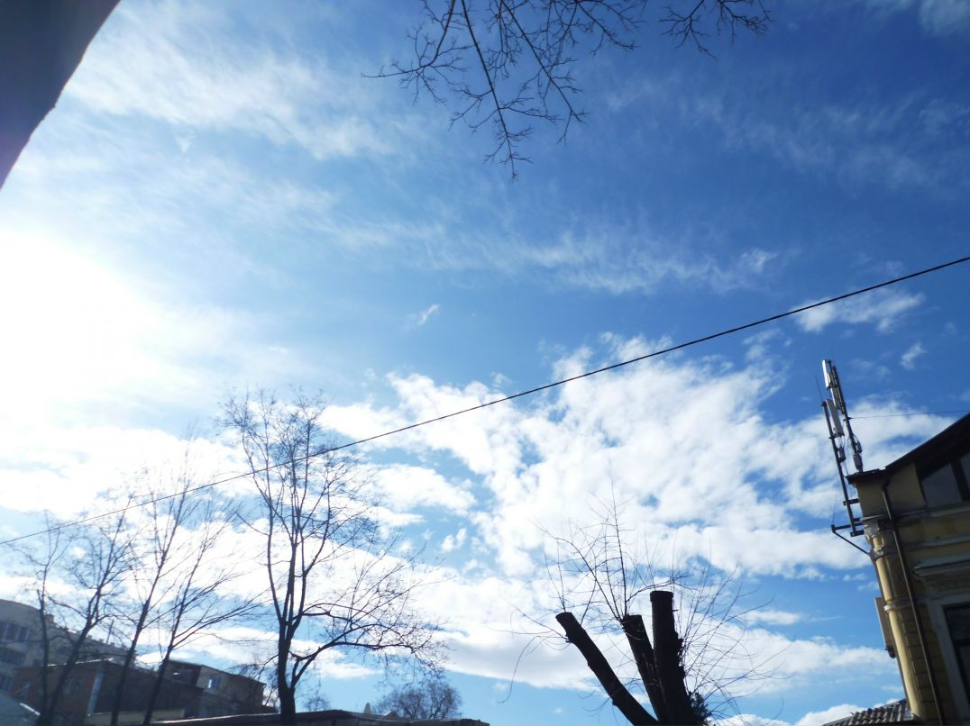 Dragon Fly фотография #27