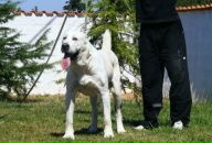 Володимир Павлік фотография #35 (источник - https://vk.com/id140487540)