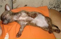 Фотография Юдина Славика