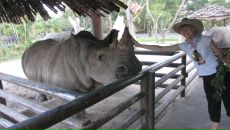 Фотография Шуст Маши