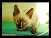 Фотография Карасёвой Татьяны