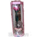 Blue Nose фотография #33 (источник - https://vk.com/id79453282)