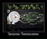 Дмитрий Исаков фотография #32 (источник - https://vk.com/id2902710)