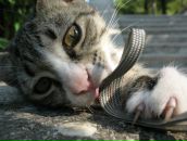 Фотография Богомоловой Юлии