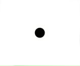 Фотография Мира Николая