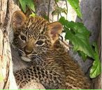 Фотография Данькова Петра