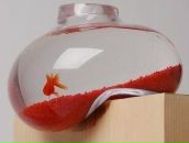 Фотография Карпусь Ольги