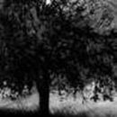 Саша Місько фотография #7 (источник - https://vk.com/id125895401)