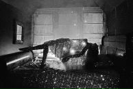 Фотография Энгельс Екатерины