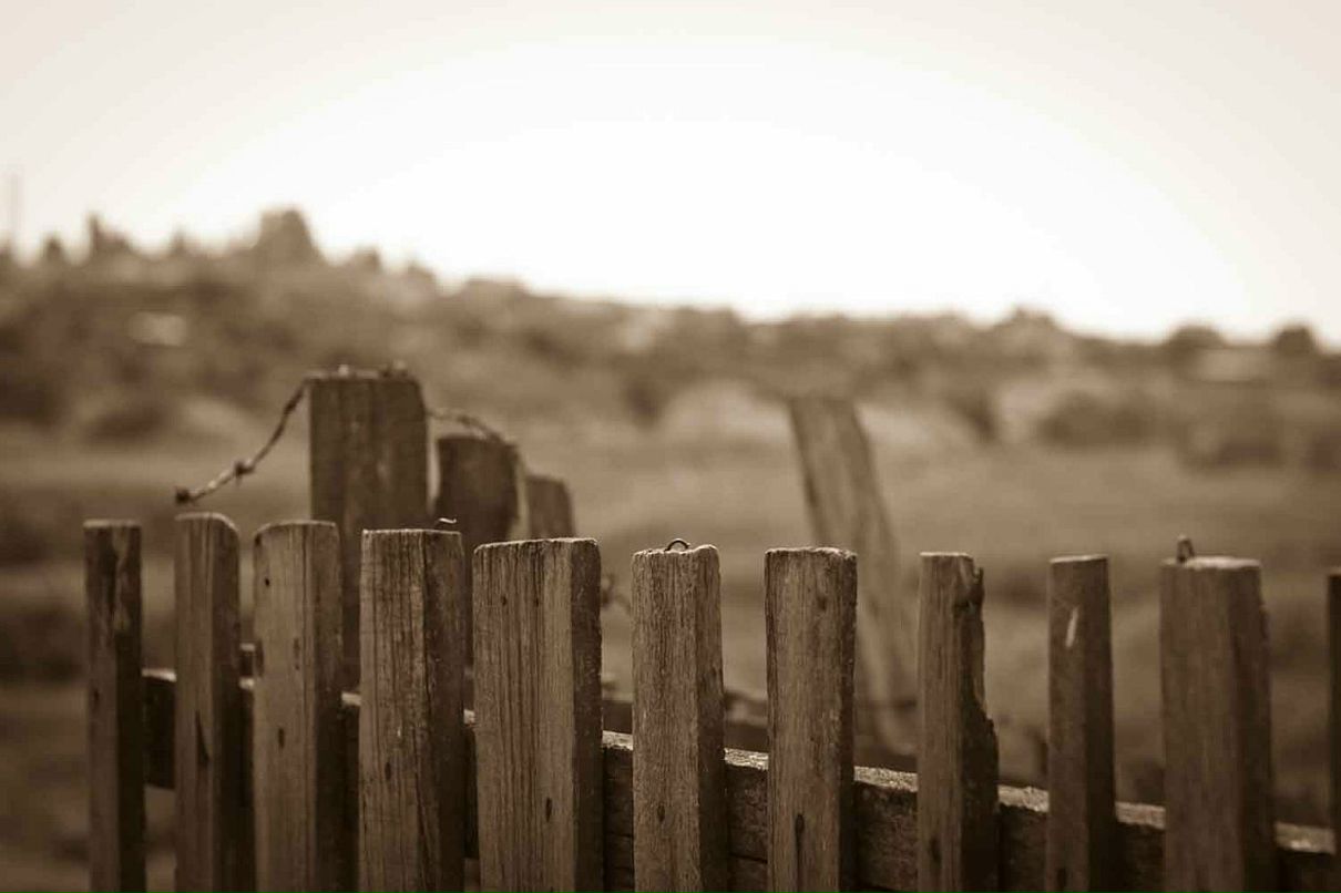 Дмитрий Быков фотография #40