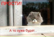 Ольга Андрианова фотография #31 (источник - https://vk.com/id3268716)