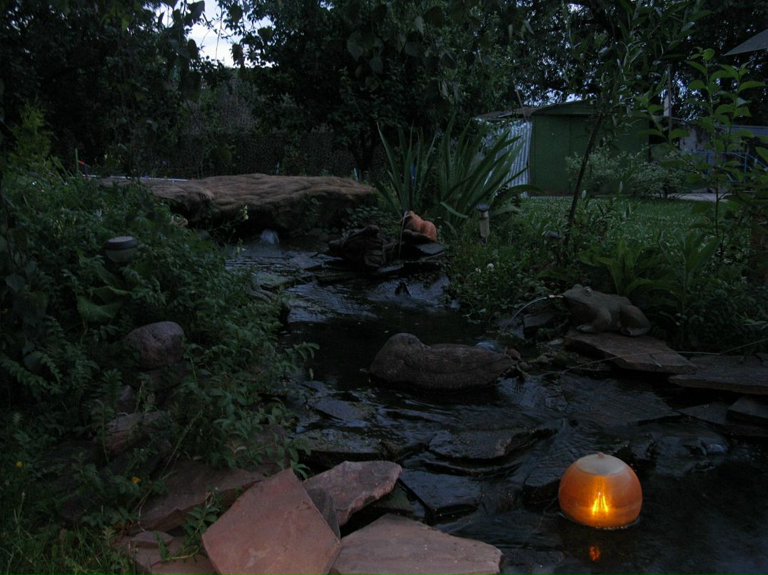 Дмитрий Ермилов фотография #31