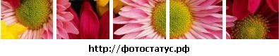 Іра Дешко фотография #31 (источник - https://vk.com/id133782226)